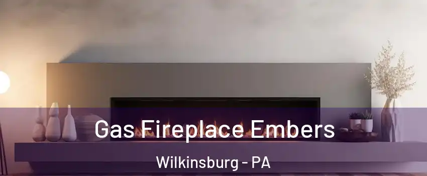  Gas Fireplace Embers Wilkinsburg - PA